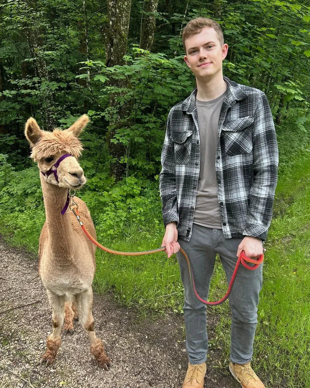Patrick, founder of Wirdruckendeinauto, with an alpaca on a forest path